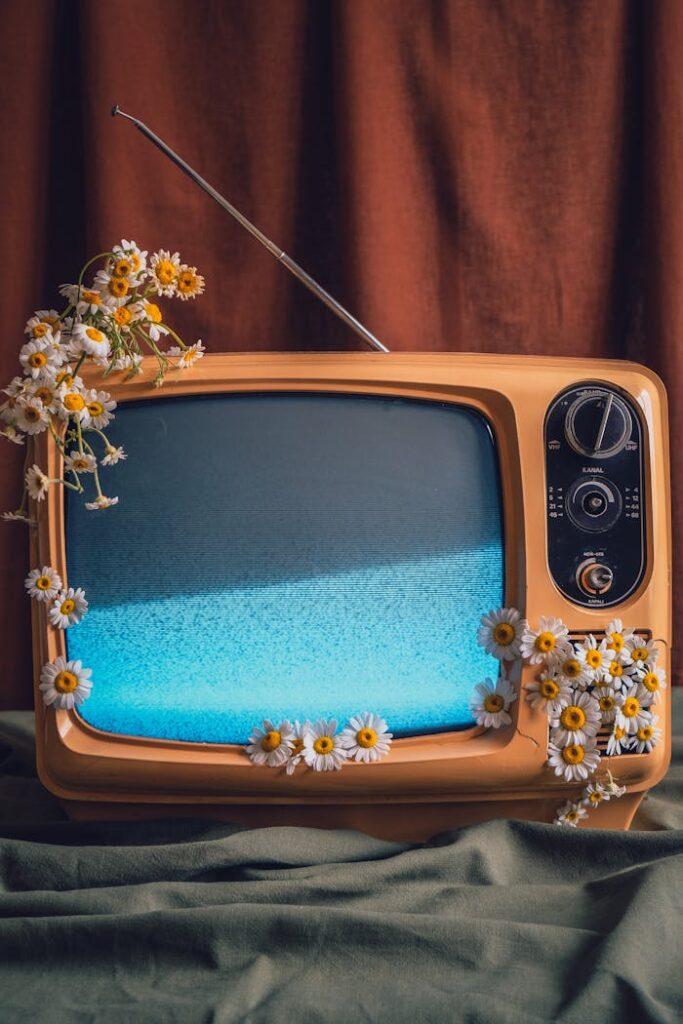 Retro television adorned with daisies, symbolizing nostalgia and nature.